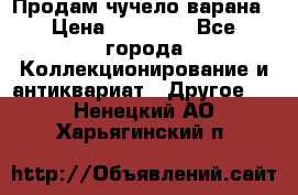 Продам чучело варана › Цена ­ 15 000 - Все города Коллекционирование и антиквариат » Другое   . Ненецкий АО,Харьягинский п.